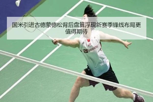 国米引进古德蒙德松背后盘算浮现新赛季锋线布局更值得期待